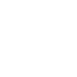Internationaal transport